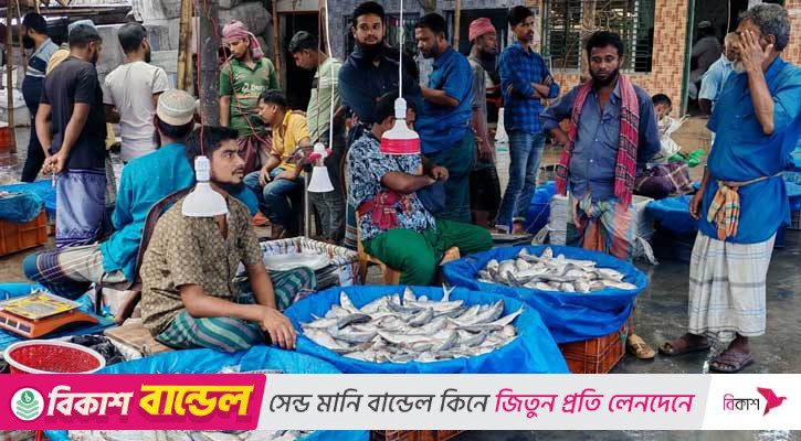 মা ইলিশ সংরক্ষণে নিষেধাজ্ঞার শেষ সময়ে কেবিবাজারে ভিড়, অতিরিক্ত দামে হতাশ ক্রেতারা
